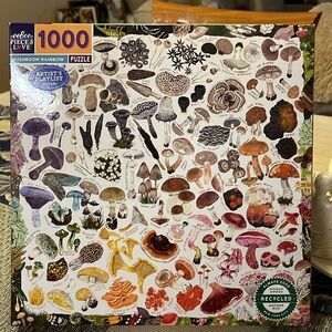 eeBoo 1000 piece puzzle 🧩